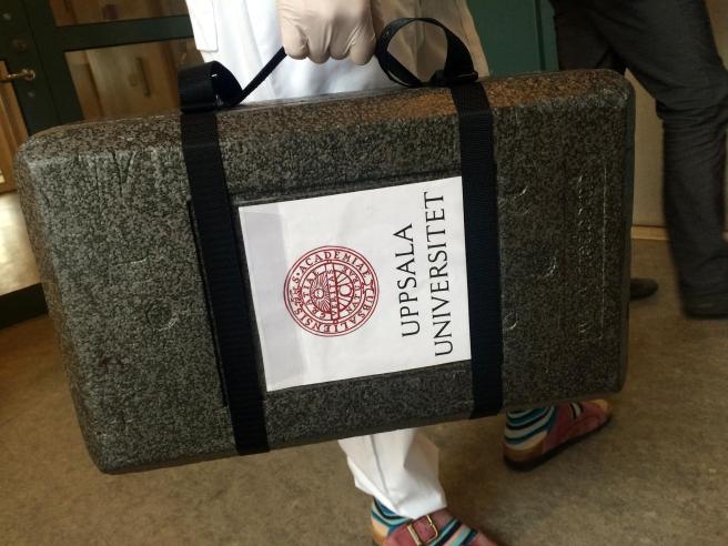 12970823_1297476063599131_3527987088098281981_o